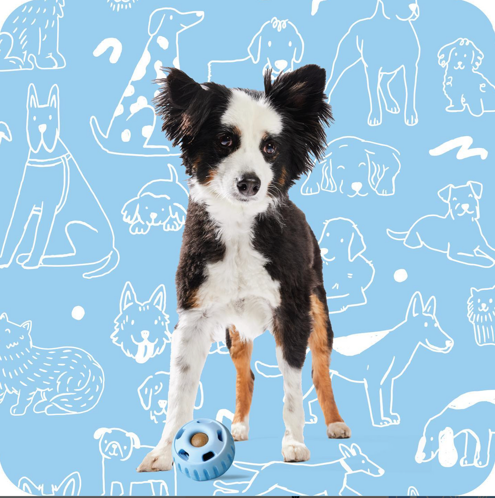 Durable Woof Pupsicle dog treat toy made from non-toxic, BPA-free natural rubber. Perfect for frozen and soft treats like peanut butter, yogurt, and bone broth. Mess-free, dishwasher-safe, and designed for long-lasting enrichment. Ideal slow feeder and interactive toy for dogs.