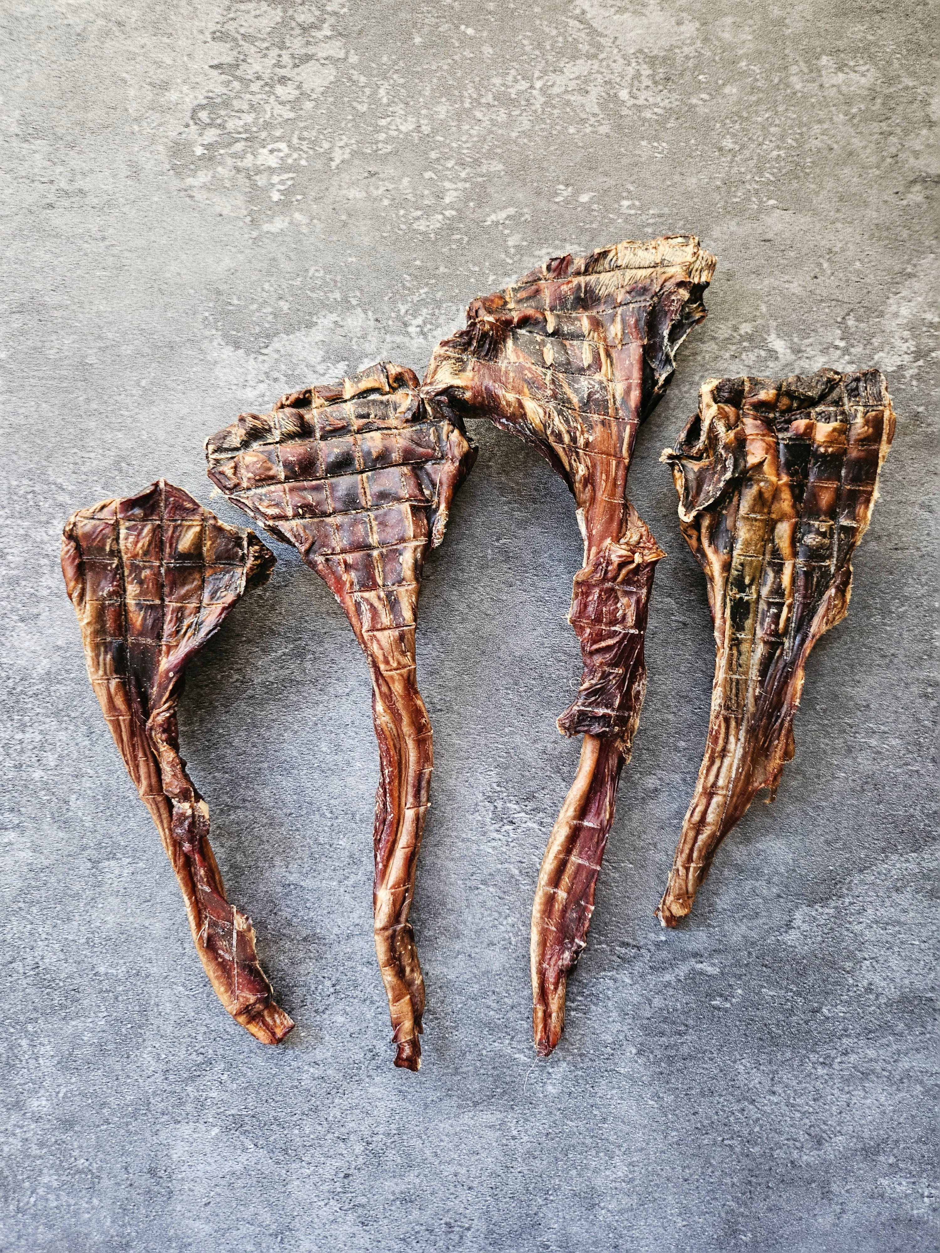 Kangaroo Tendons Baobao PetShop Kangaroo Tendons Baobao PetShop