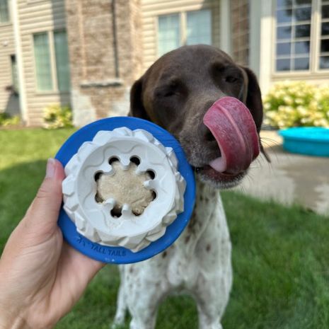 Tall Tails - Natural Rubber Bee Hive Reward Dog Toy