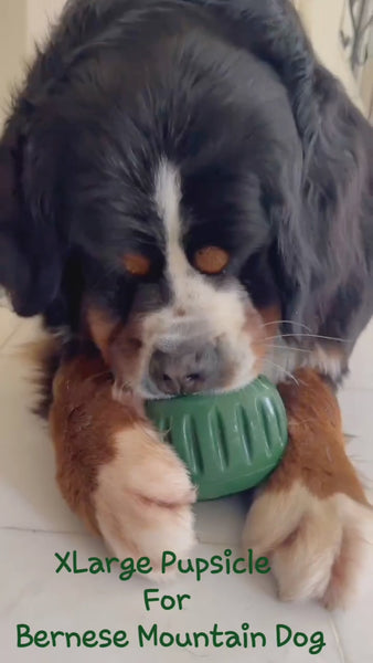 Durable Woof Pupsicle dog treat toy made from non-toxic, BPA-free natural rubber. Perfect for frozen and soft treats like peanut butter, yogurt, and bone broth. Mess-free, dishwasher-safe, and designed for long-lasting enrichment. Ideal slow feeder and interactive toy for dogs.