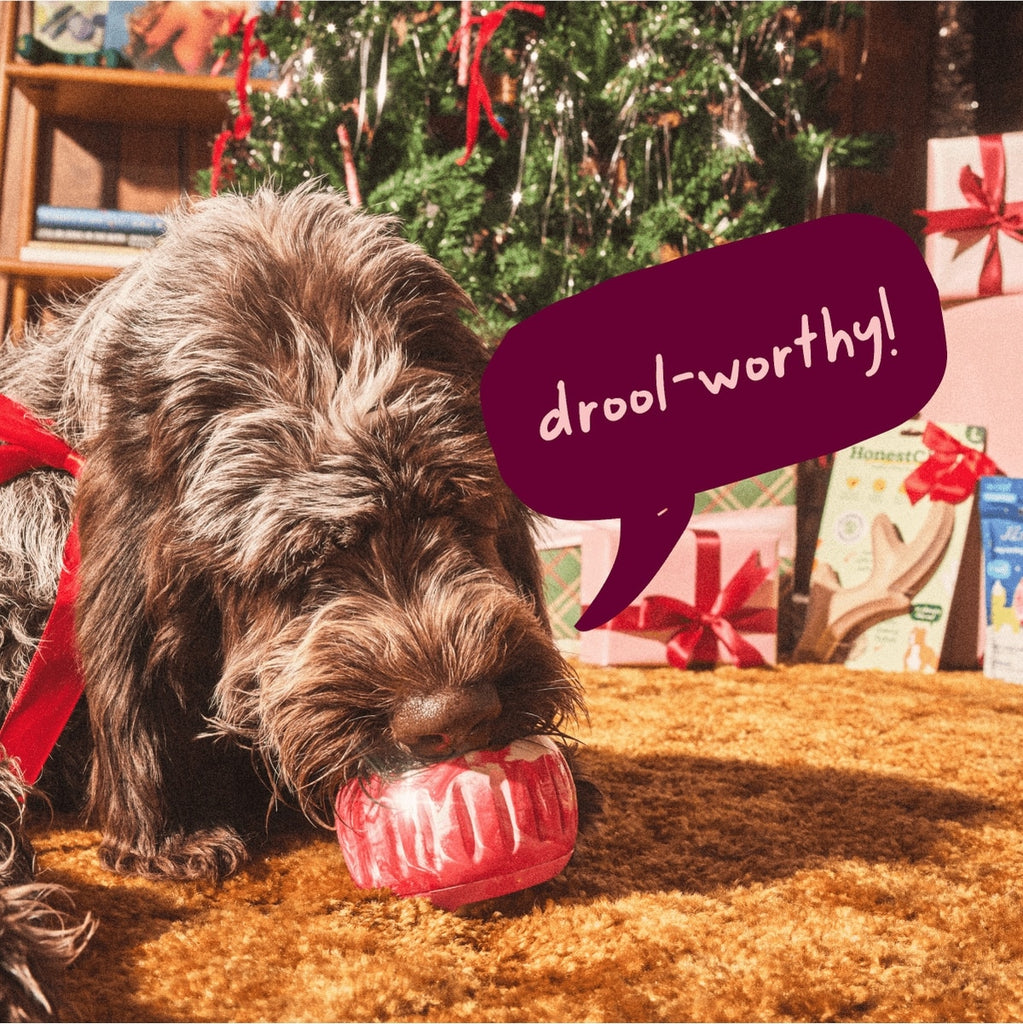 Woof - The Pupsicle – Baobao PetShop