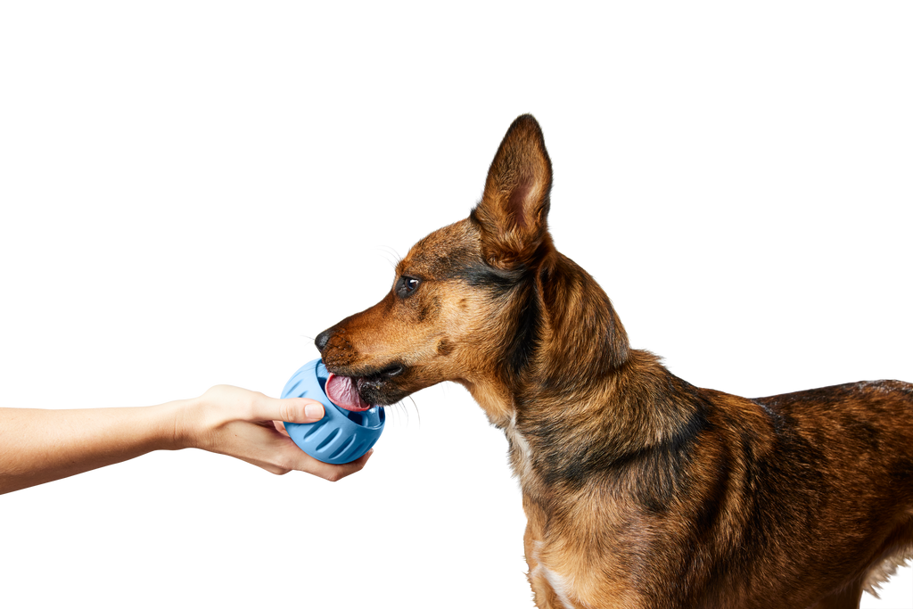 Durable Woof Pupsicle dog treat toy made from non-toxic, BPA-free natural rubber. Perfect for frozen and soft treats like peanut butter, yogurt, and bone broth. Mess-free, dishwasher-safe, and designed for long-lasting enrichment. Ideal slow feeder and interactive toy for dogs.