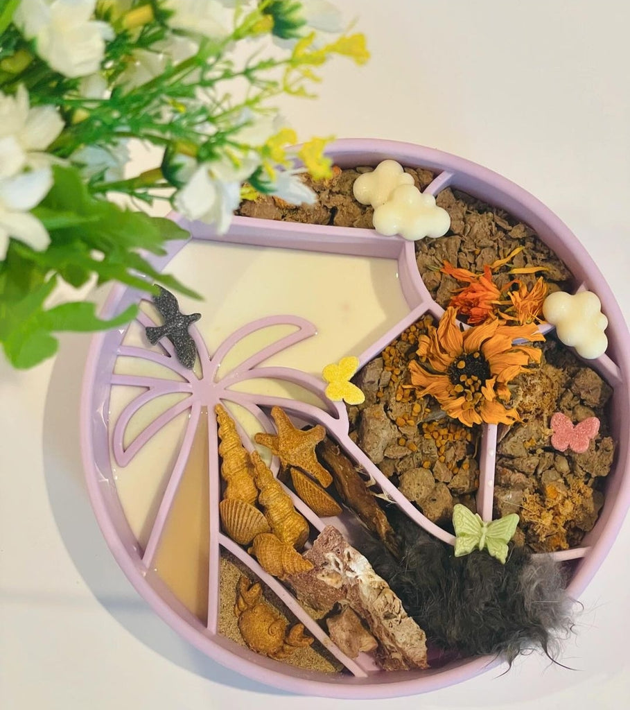 Loco Coco Slow Feeder Bowl – award-winning, tropical-inspired dog bowl made from 100% food-grade silicone. Designed to slow down fast eaters, prevent bloating, and support healthy digestion. Features strong suction cups, non-slip base, and is BPA-free, dishwasher safe, and freezer safe. Perfect for small to large dogs